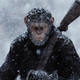 Image for article titled Andy Serkis Thinks Planet of the Apes is 'Boyhood in the Jungle,' and He's Right